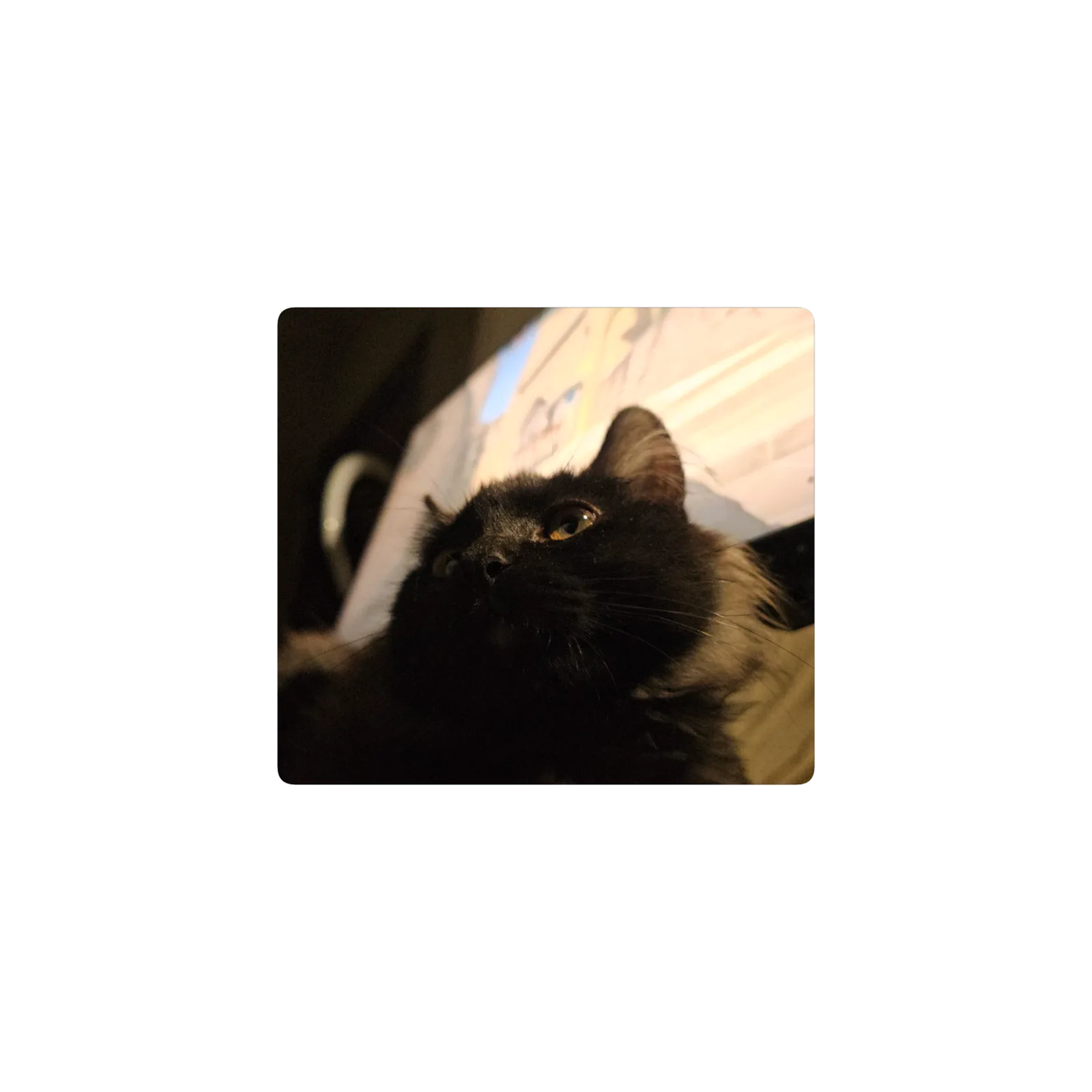 Tuca