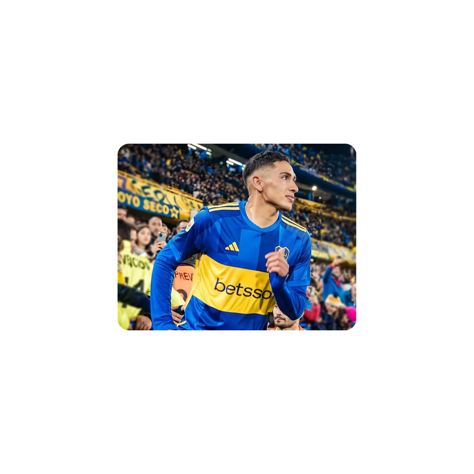 Mousepad Equi Fernandez GOAT 51x40 Classic | Custom
